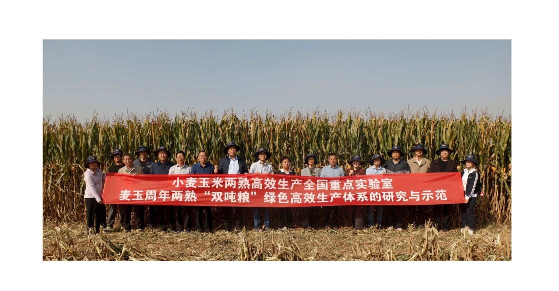 MY73ZL亩产1021.82公斤！麦玉周年两熟“双吨粮”百亩示范方玉米实收测产验收会在温县举行