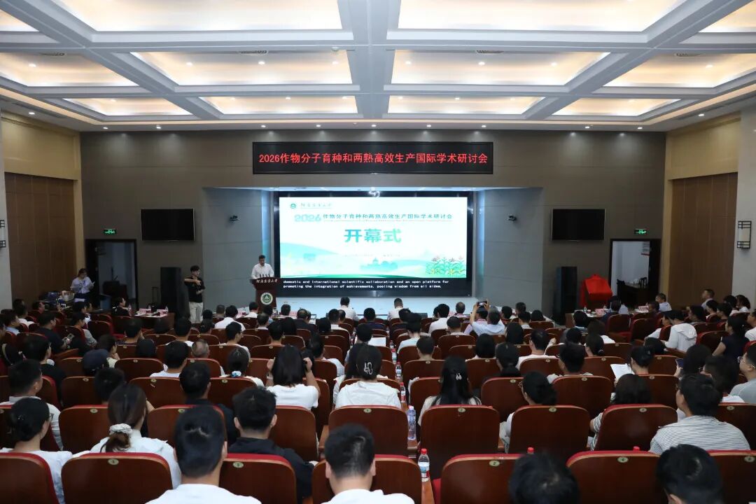 2026作物分子育种和两熟高效生产国际学术研讨会成功举办